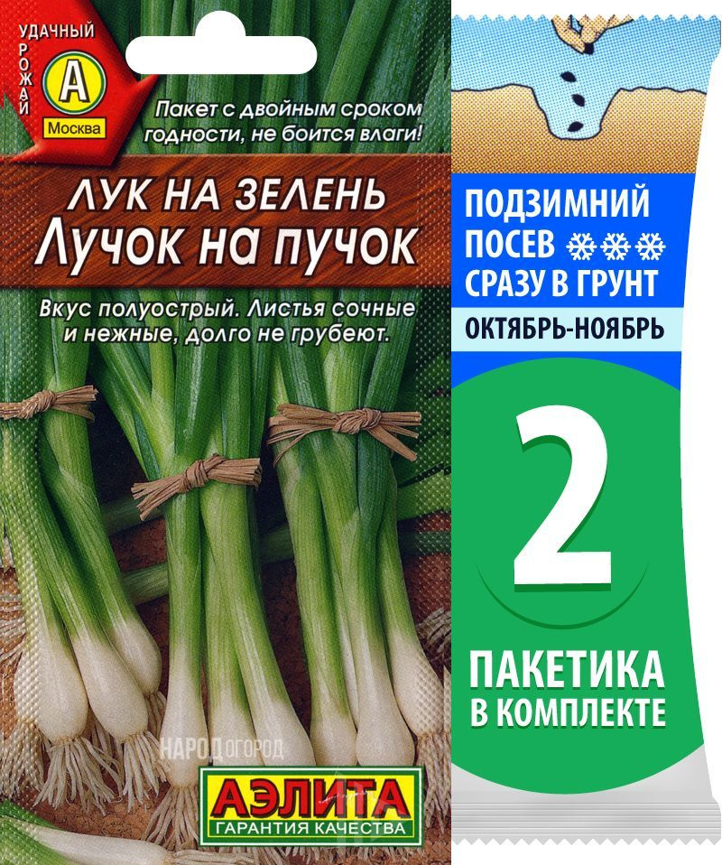 Семена Лук репчатый ранний Лучок На Пучок, 2 пакетика по 0,5г/100шт  #1