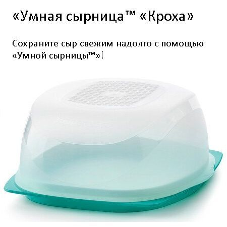 Tupperware Сырница #1