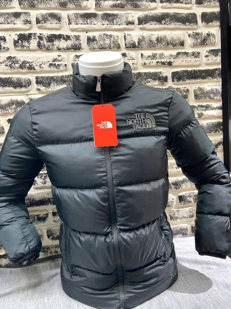 Куртка The North Face #1