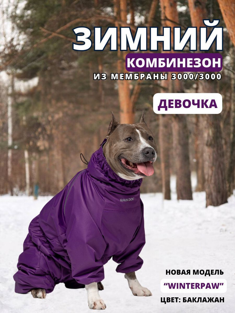 Зимний комбинезон для собак "Winter", 55/4XL, женский, purple #1