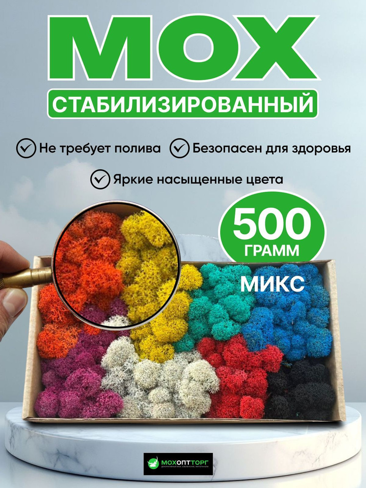 Стабилизированный мох, 500 гр #1