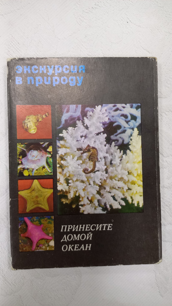 Набор открыток Экскурсия в природу, принесите домрй океан винтажный советский, СССР  #1