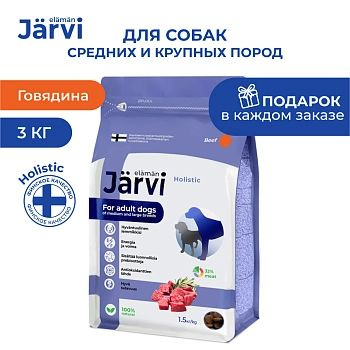 Jarvi сухой полнорационный корм для взрослых собак средних и крупных пород  #1