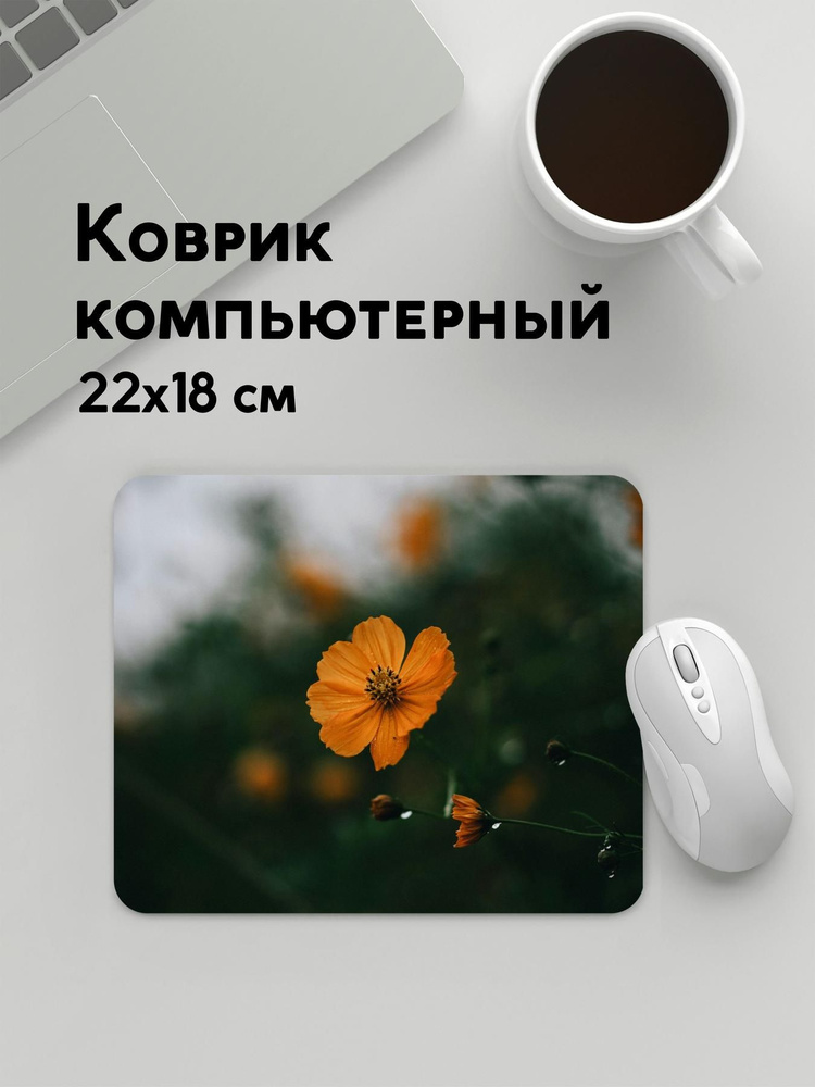 PANiN Коврик для мыши MousePad22x18WC_WC189615, черный матовый, черно-серый  #1