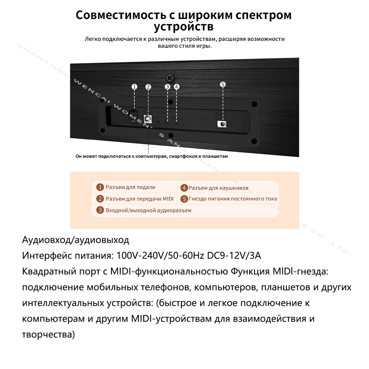 Звуковая функция мощной программы Дисплей: 3 цифровых дисплей Управление темпом: бифонема, двойная клавиатура, метроном, сдвиг Управление аккордами: однопальцевой, многопальцевой аккорд