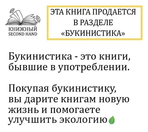 Ангел западного окна | Angel of the West Window - Ozon image 6