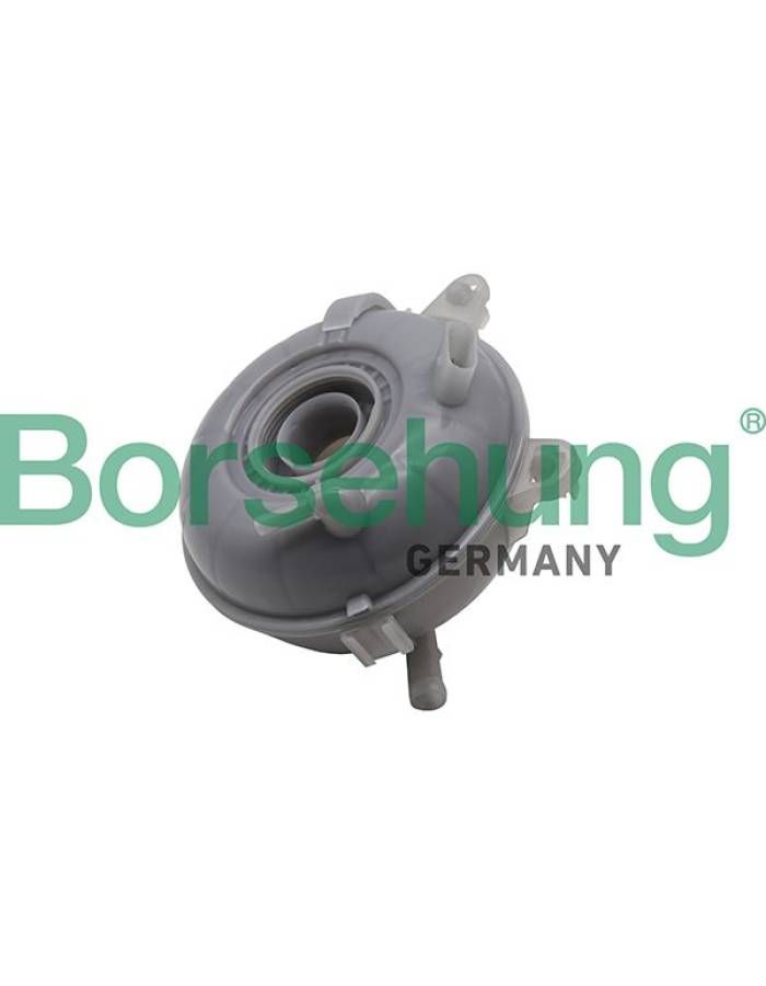 БачоккомпенсационныйBorsehungB19282