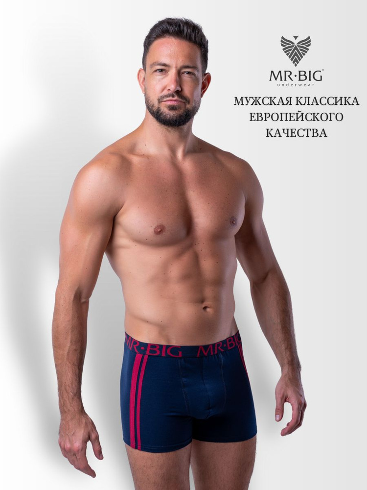 Трусы боксеры MR.BIG Underwear Нижнее белье, 1 шт #1