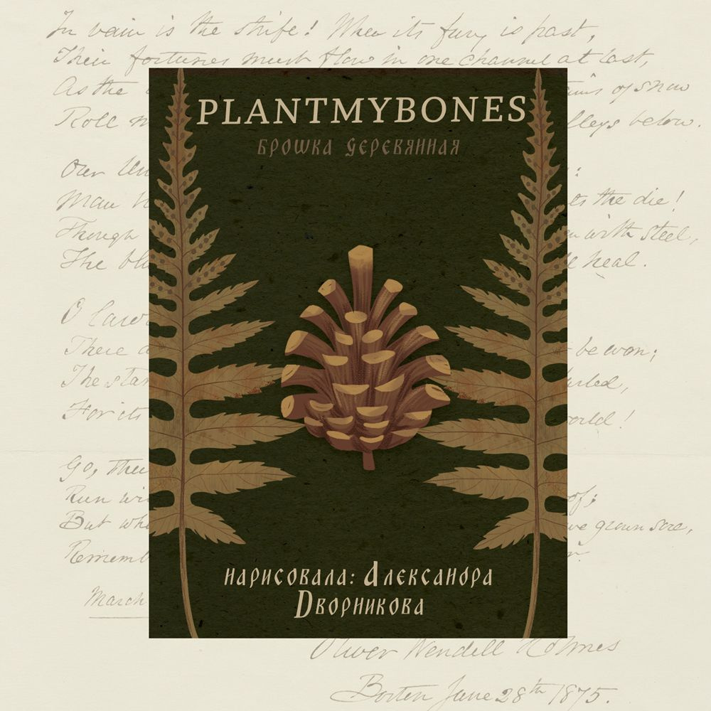 Деревянная брошь PlantMyBones, значок из дерева на замке-булавке: Шишка  #1