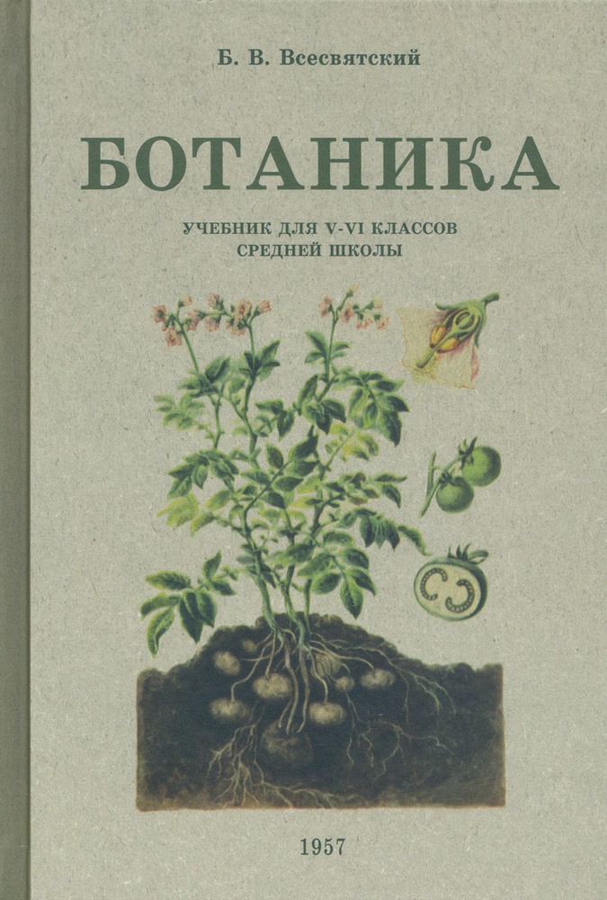 Ботаника. Учебник для 5-6 классов средней школы. 1957 год | Всесвятский Борис Васильевич  #1