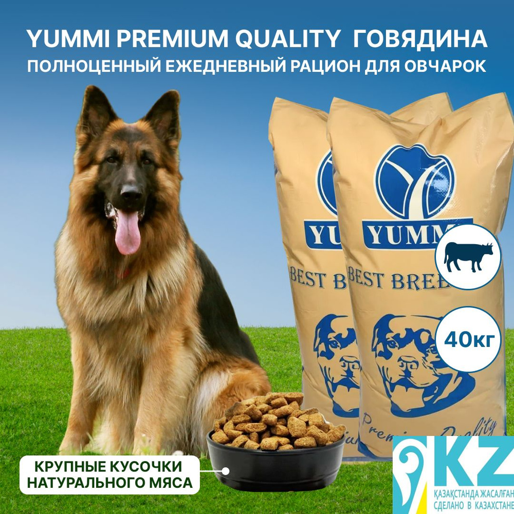 сухой корм для собак YUMMI Premium quality говядина 20 кг для овчарок 2 упаковки  #1