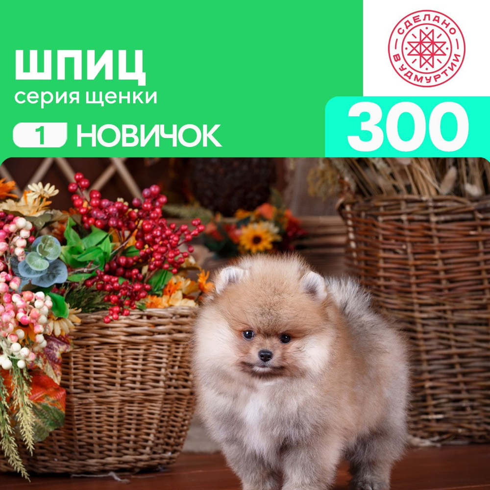 Пазл Шпиц 300 деталей простой #1