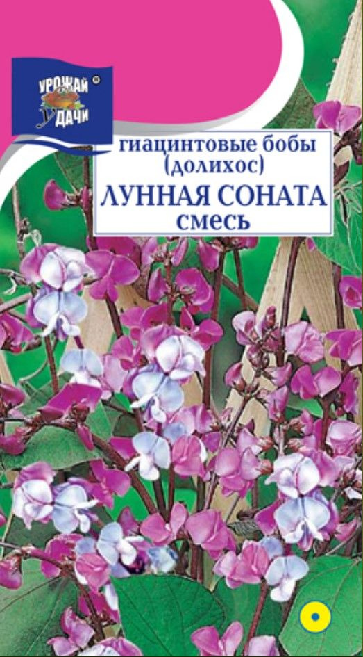 Гиацинтовые бобы (Долихос) ЛУННАЯ СОНАТА лиана и вкусные плоды (Семена УРОЖАЙ УДАЧИ, 1 г семян в упаковке) #1