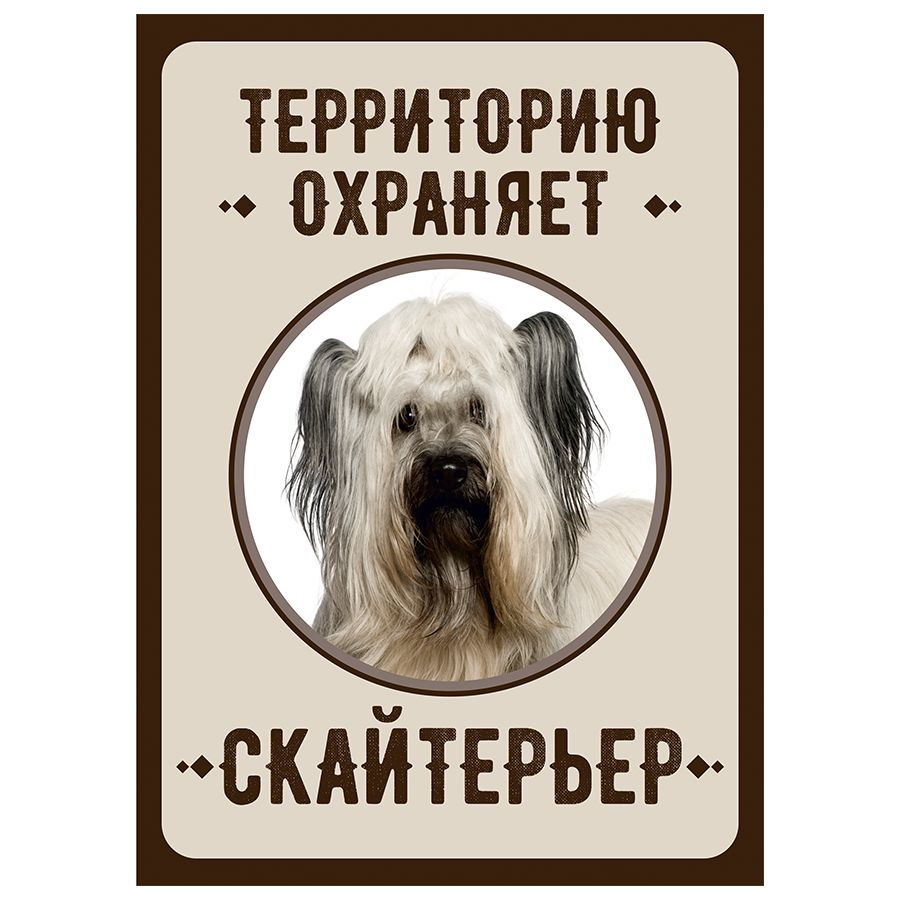 Табличка, Злая собака, Территорию охраняет Скайтерьер, 18см х 25 см, на забор, на дверь  #1