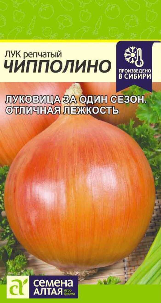 Семена Лук репчатый Чипполино 0,5г #1