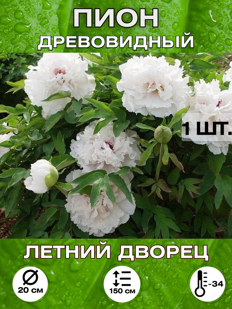 Magic Blooming Garden Семена ,1шт #1