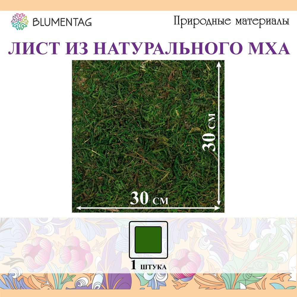 Лист из натурального мха "Blumentag" BKM-30, 30см, зеленый #1