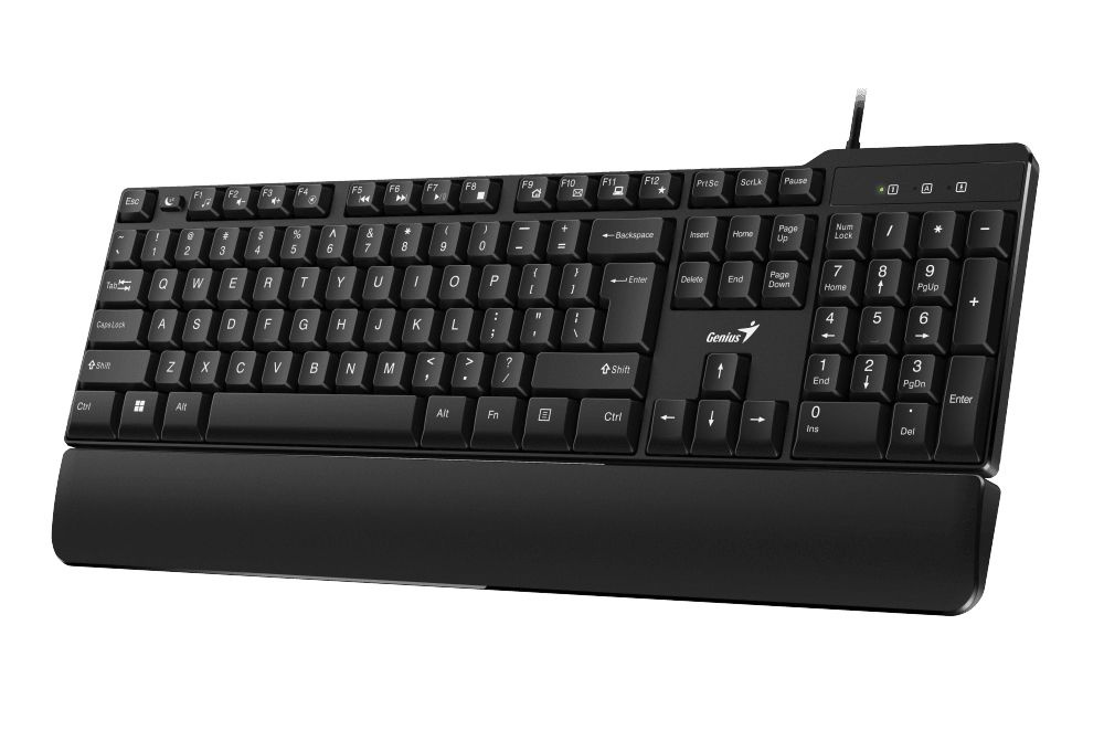 Клавиатура Genius keyboard KB-100XP, RU, USB, Black #1