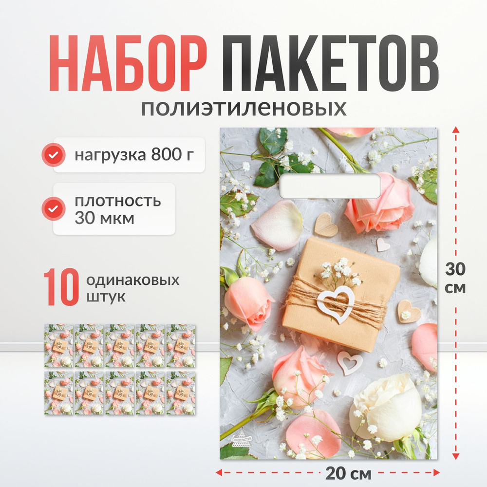 Upak Land Пакет подарочный 20*30 см, 10 шт. #1