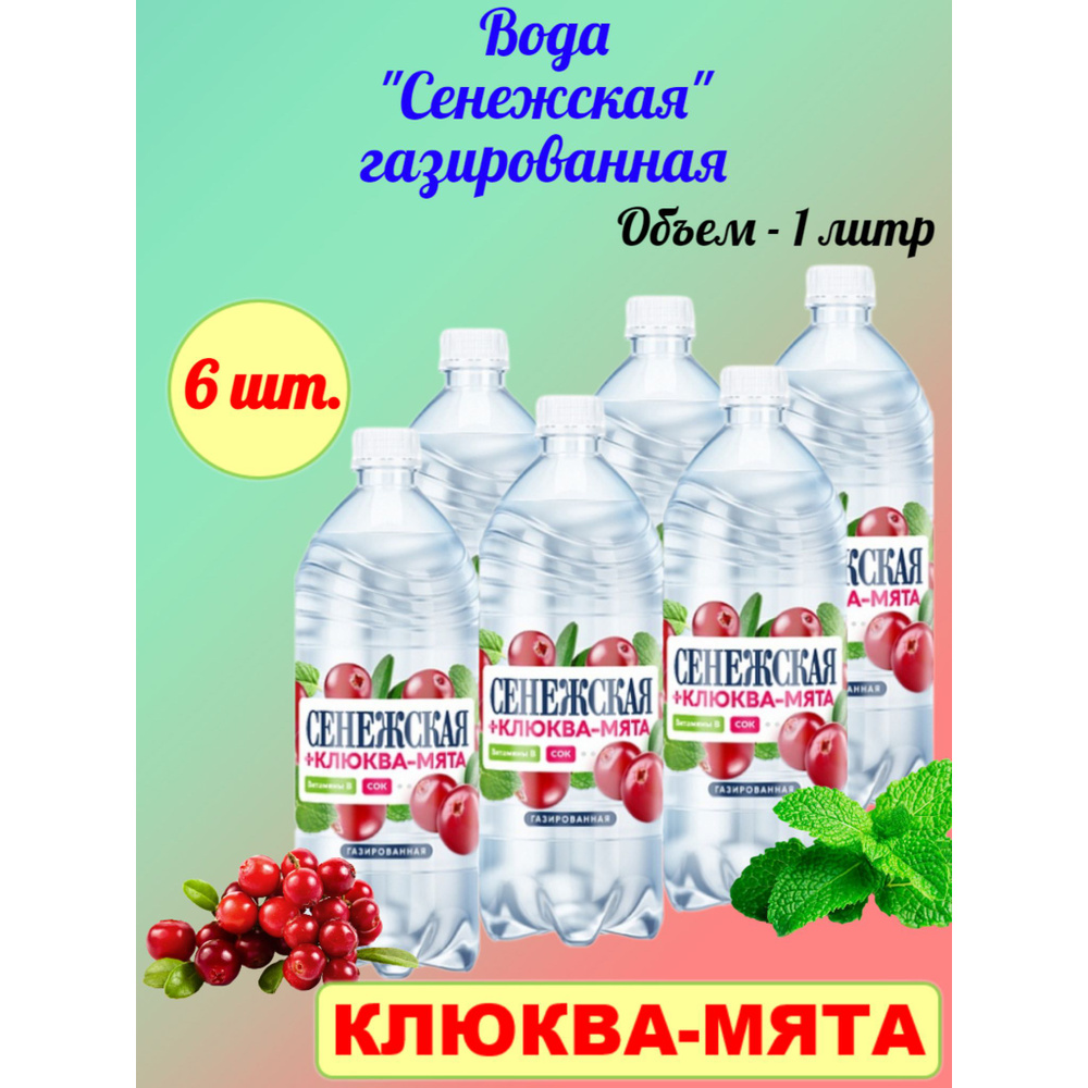 Сенежская Вода Питьевая Газированная 1000мл. 6шт #1