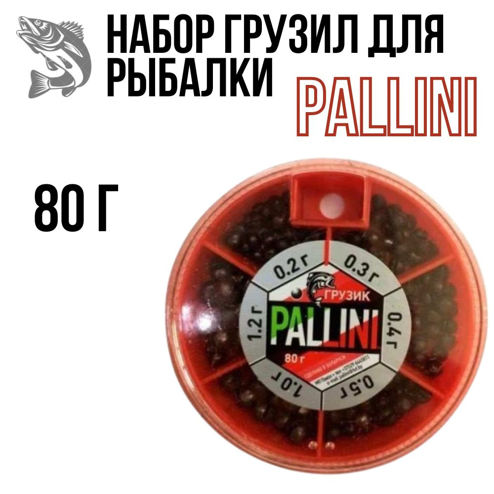 Набор грузов PALLINI 80гр #1