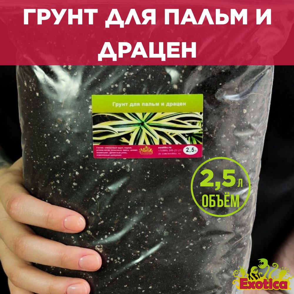 Грунт для пальм и драцен 2,5л #1