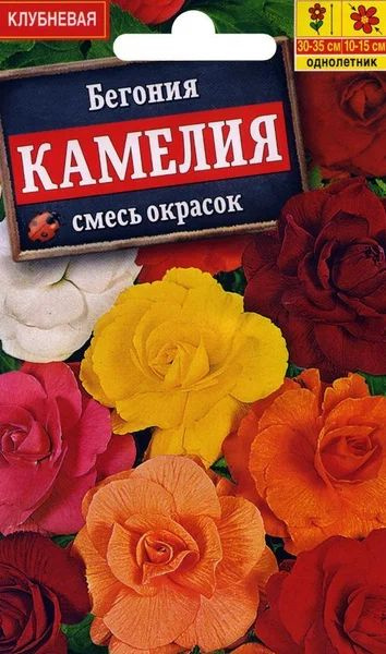 Семена Бегония крупноцветковая Камелия, смесь сортов (10 семян) - Агрофирма Аэлита  #1