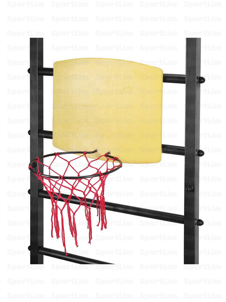 Баскетбольное кольцо SportLim с щитом #1