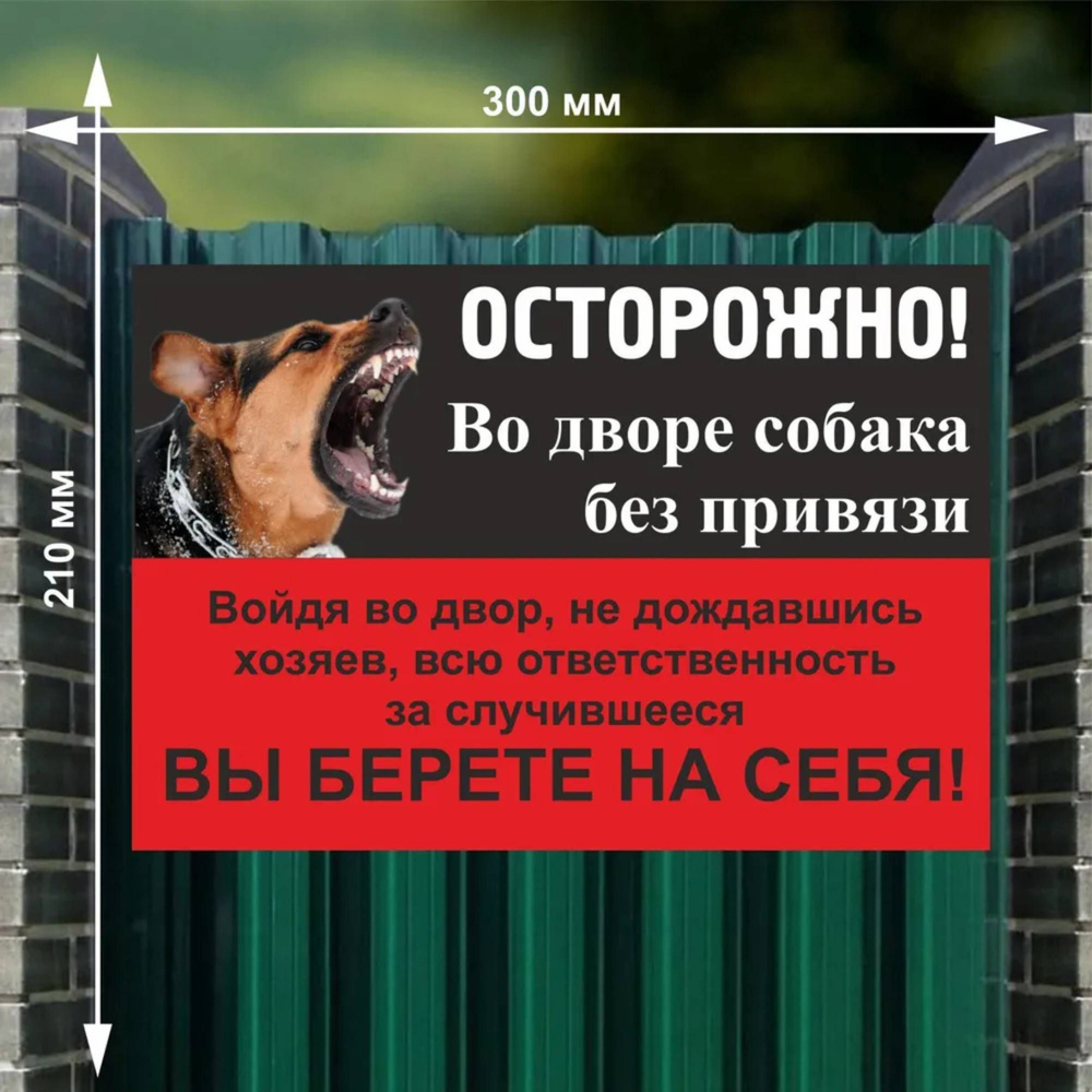 Табличка "Осторожно! Во дворе собака без привязи", 30х21 см.  #1