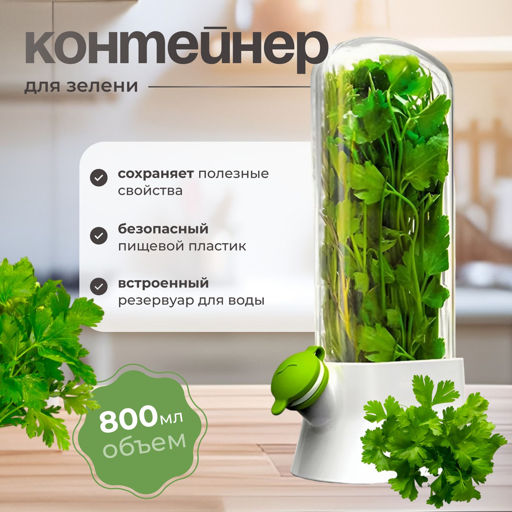 Контейнер пищевой для зелени, контейнер для хранения зелени в холодильнике, емкость для зелени в холодильник #1