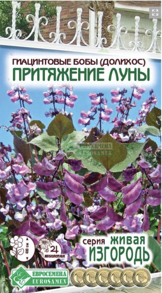 Гиацинтовые бобы (долихос) Притяжение Луны, 1 пакет, семена 3 шт, Евросемена  #1