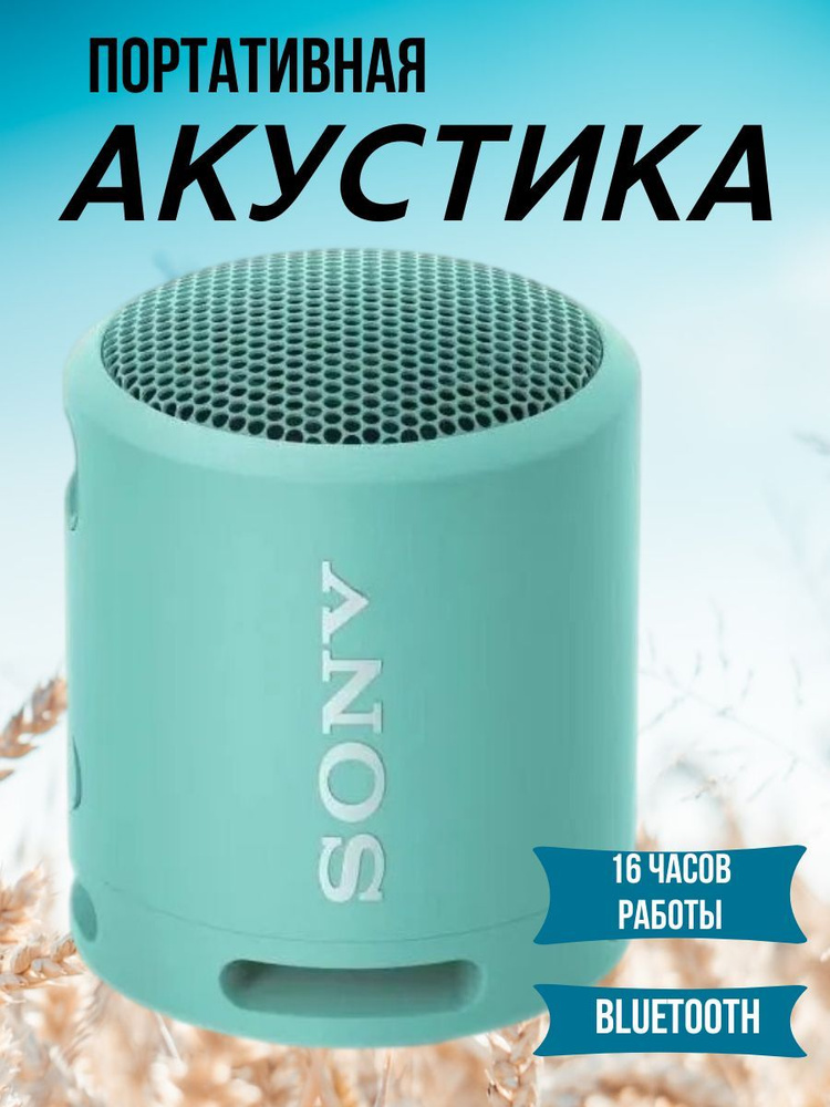 Портативная колонка Sony SRS-XB13L.Портативная акустика #1
