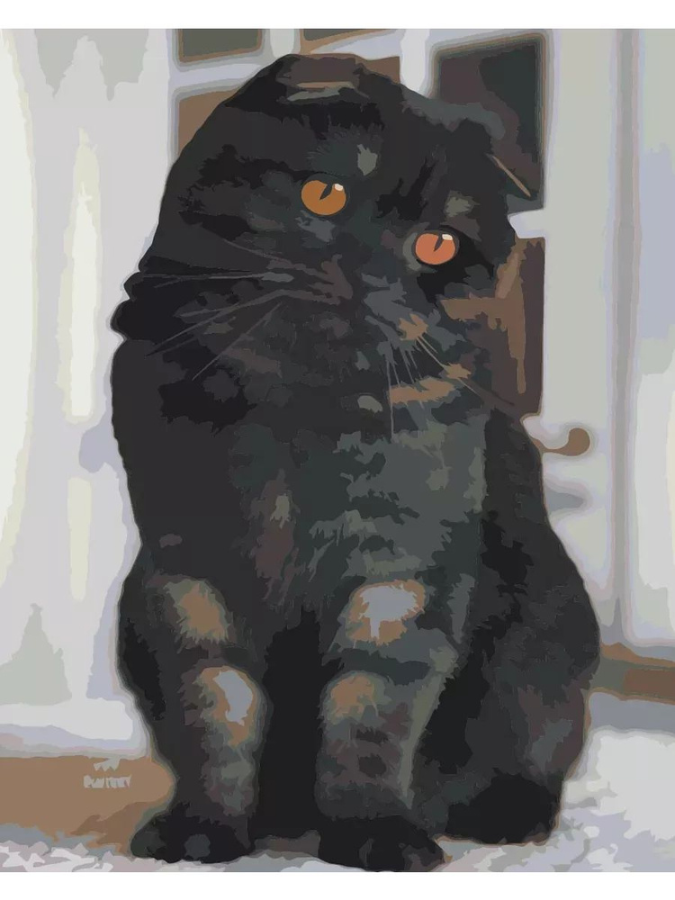 Картина по номерам шотландский вислоухий кот Размер 40х50, на холсте на деревянном подрамнике, Акриловые #1