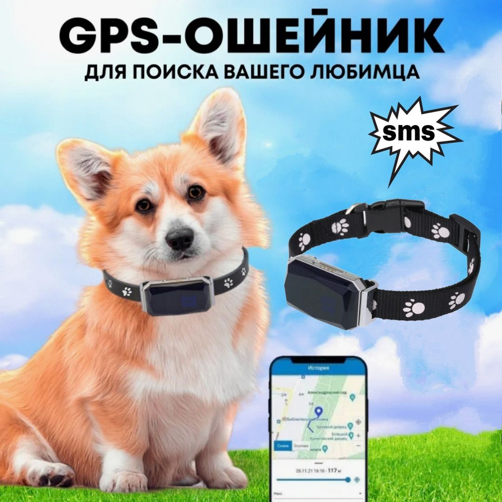 ошейник трекер GPS для животных #1