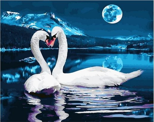 Картина по номерам 40х50 см на подрамнике "Пара лебедей под полной луной" DVEKARTINKI  #1