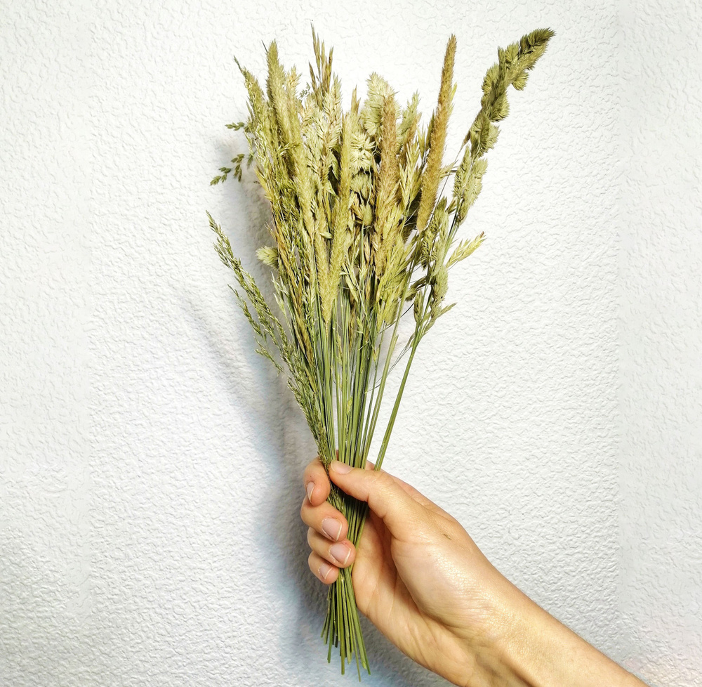 Плоские сухоцветы - Дикие злаковые для заливки смолой и рукоделия, 30 шт  #1