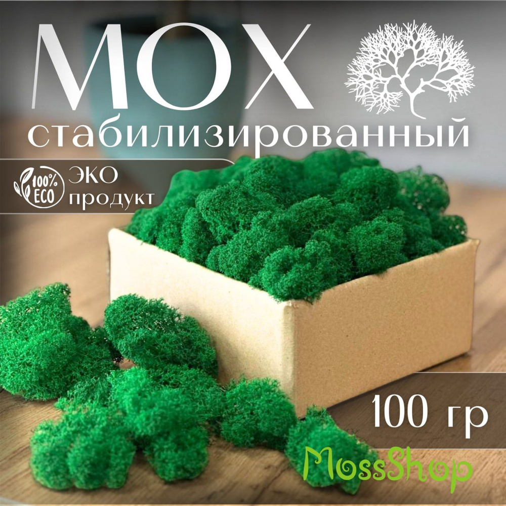 MossShop Стабилизированный мох, 100 гр, 1 шт #1