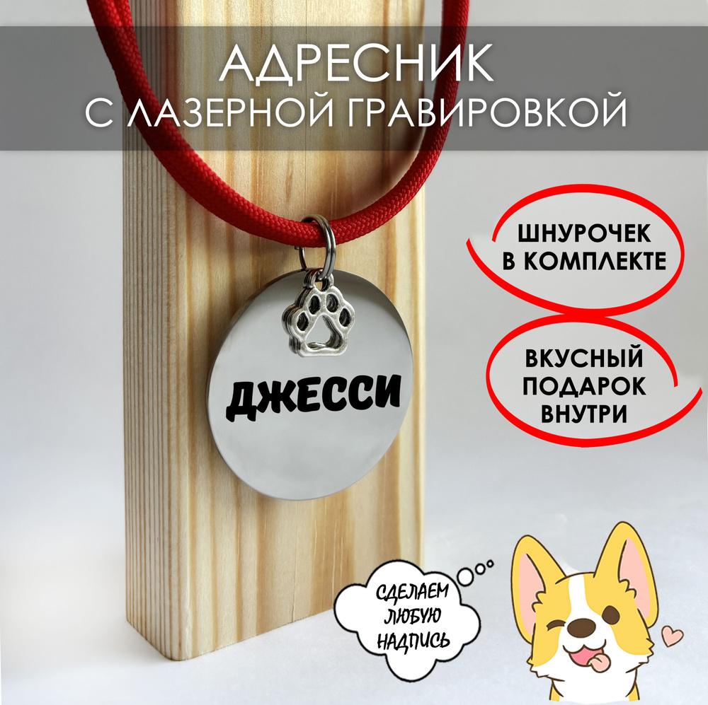 Адресник жетон для собак с гравировкой клички и породы, регулируемым шнурком, Круглый 35 мм, нержавеющая #1