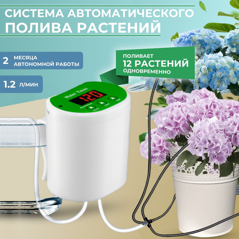 «Все были живы»: 10 способов организовать полив цветов в квартире, когда уезжаешь в отпуск