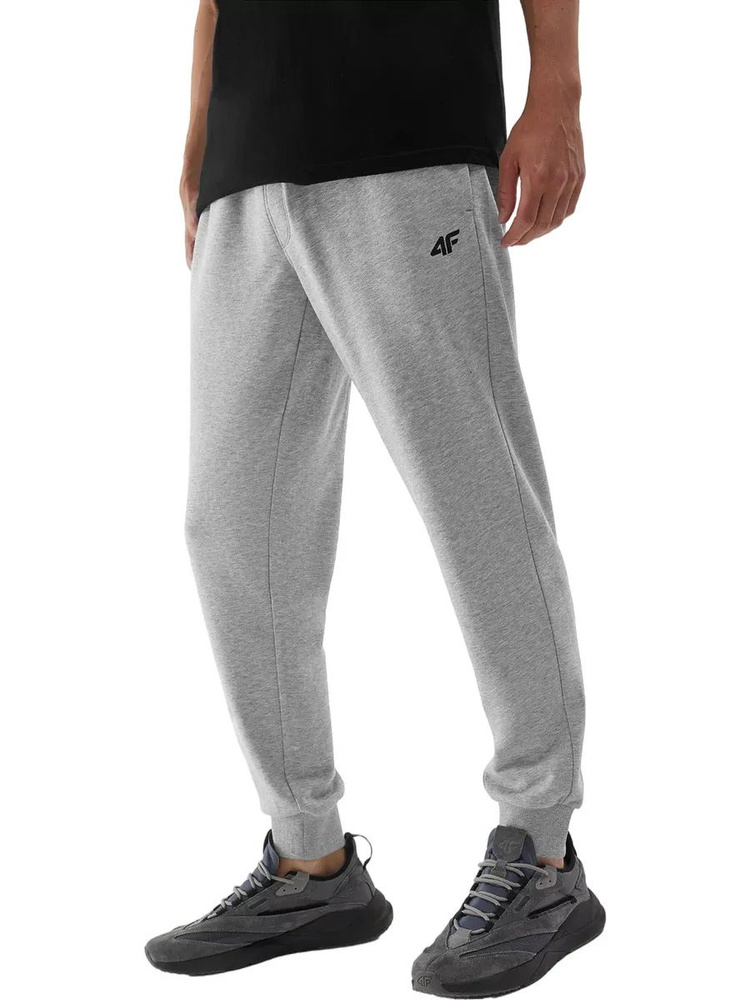 Брюки спортивные 4F MENS JOGGERS SWEATPANTS #1