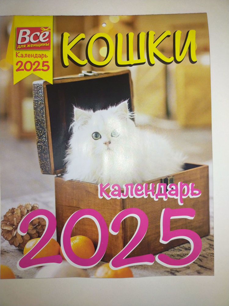 Календарь 2025 Кошки #1