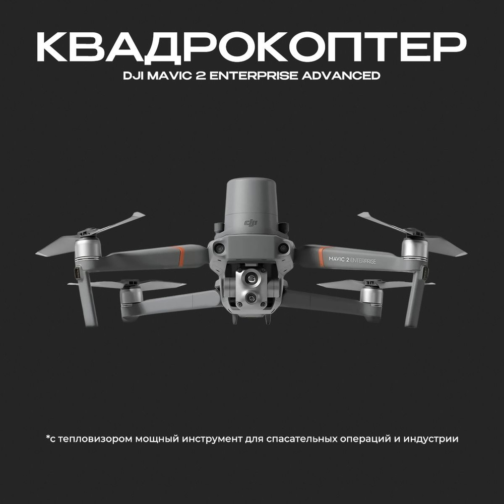 Квадрокоптер DJI Mavic 2 Enterprise Advanced (с тепловизором) #1