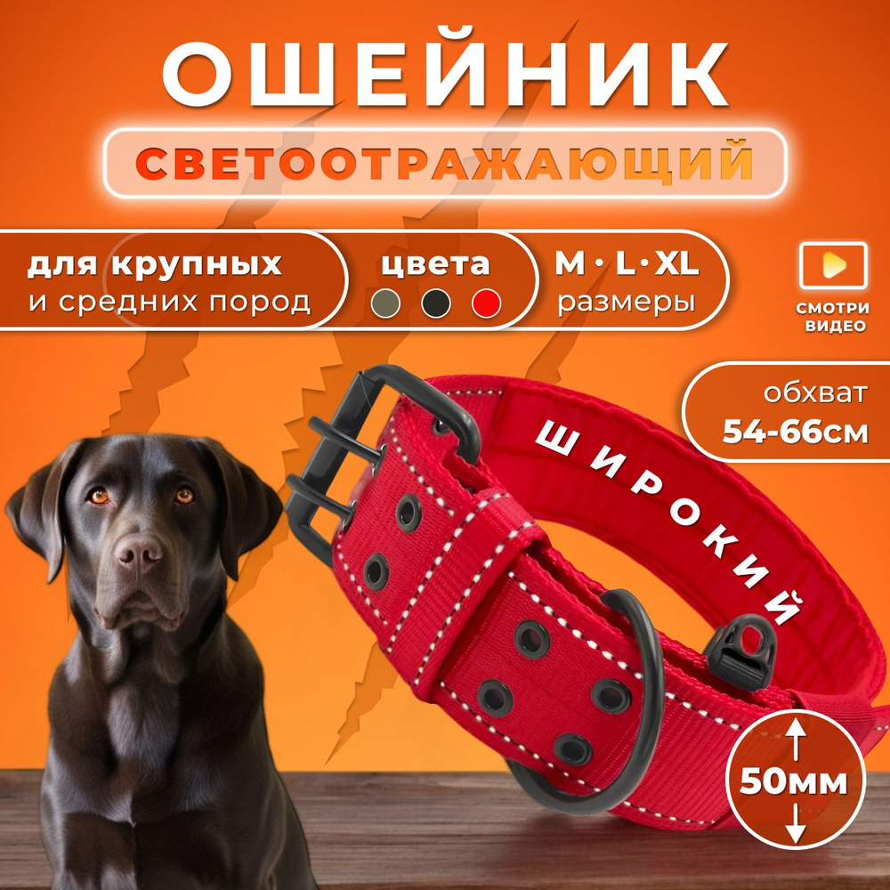 Ошейник для собак крупных пород/ Ошейник для больших собак Doggy&Dog Shop  #1