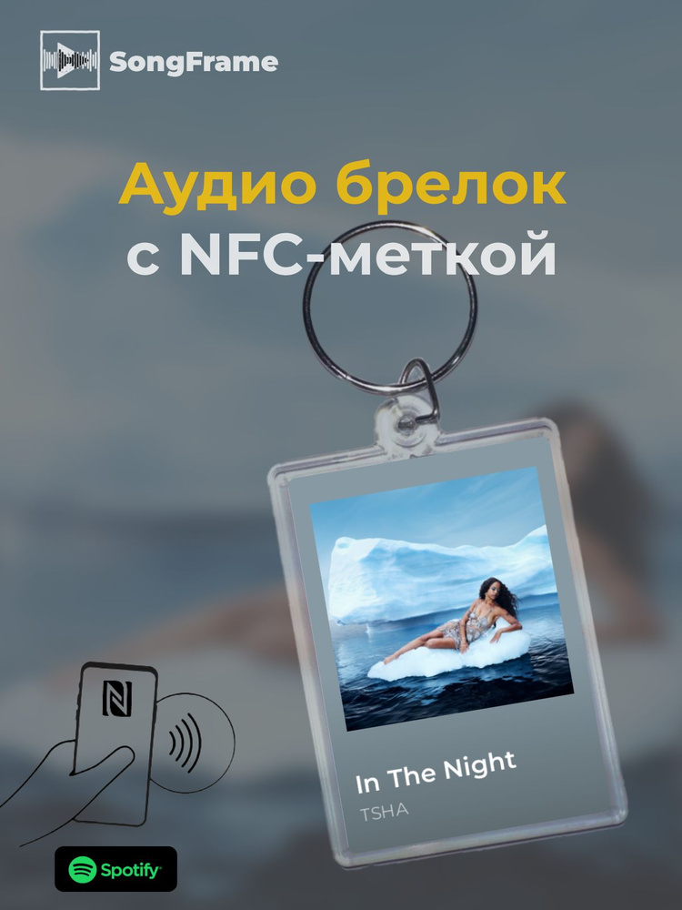 Брелок Spotify с NFC Трек: TSHA - In The Night #1