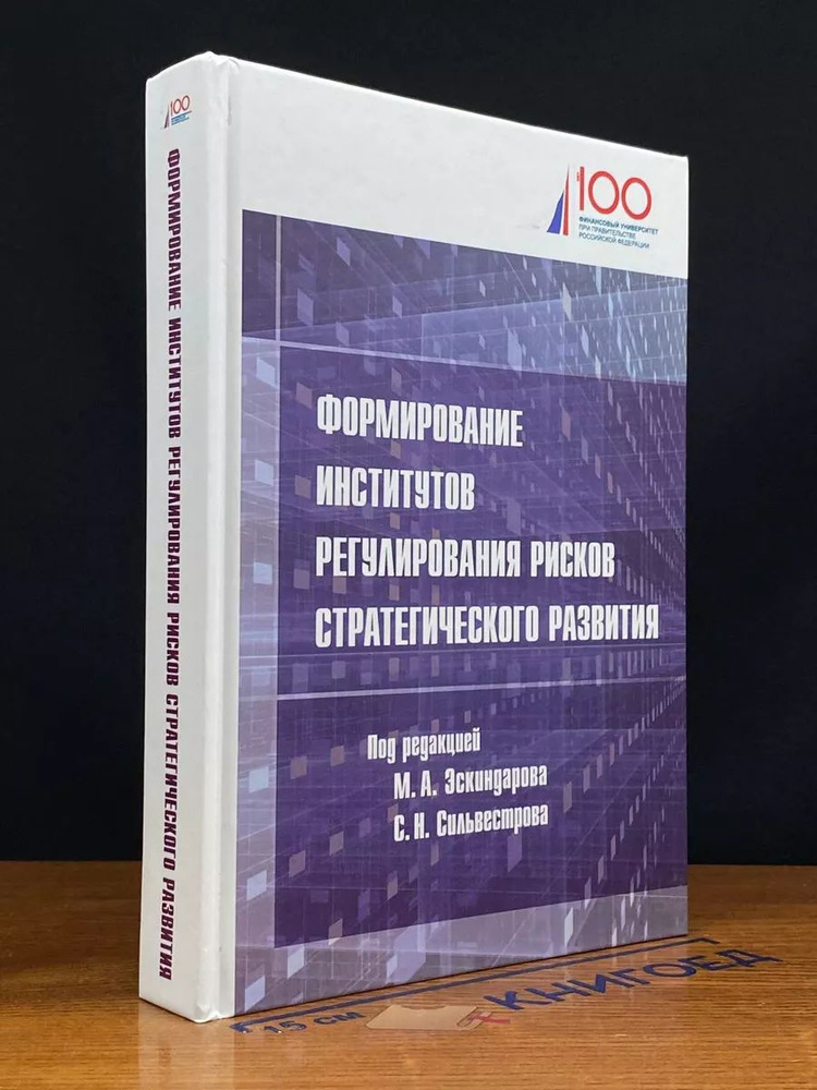 Формир. институтов регулир. рисков стратегического развития  #1