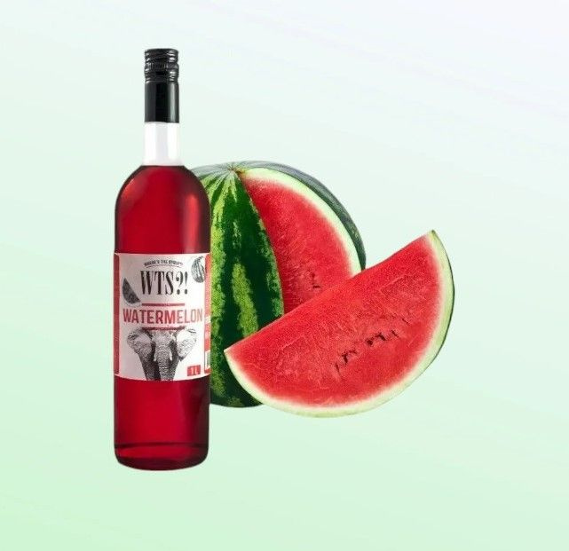 Сироп "WTS?!" Watermelon (Арбуз) 1 л. #1