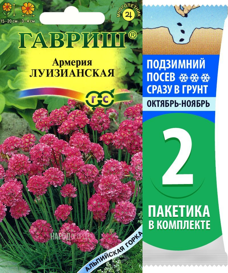 Семена Армерия приморская Луизианская, 2 пакетика по 0,02г/30шт  #1