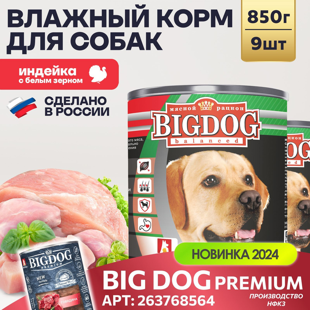 Влажный корм для собак крупных и средних пород Зоогурман ПРЕМИУМ Big Dog Индейка с белым зерном, 850 #1