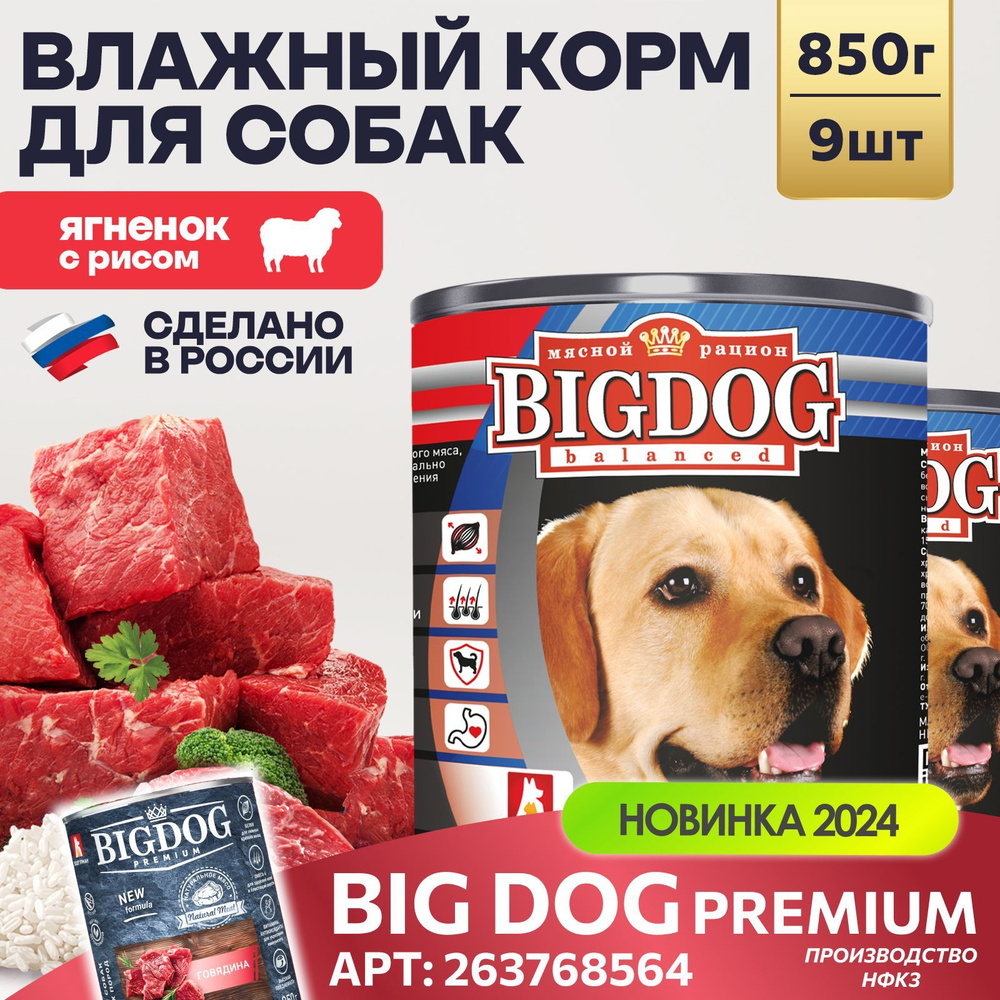 Влажный корм для собак крупных и средних пород Зоогурман ПРЕМИУМ Big Dog Ягненок с рисом, 850 г х 9 шт #1