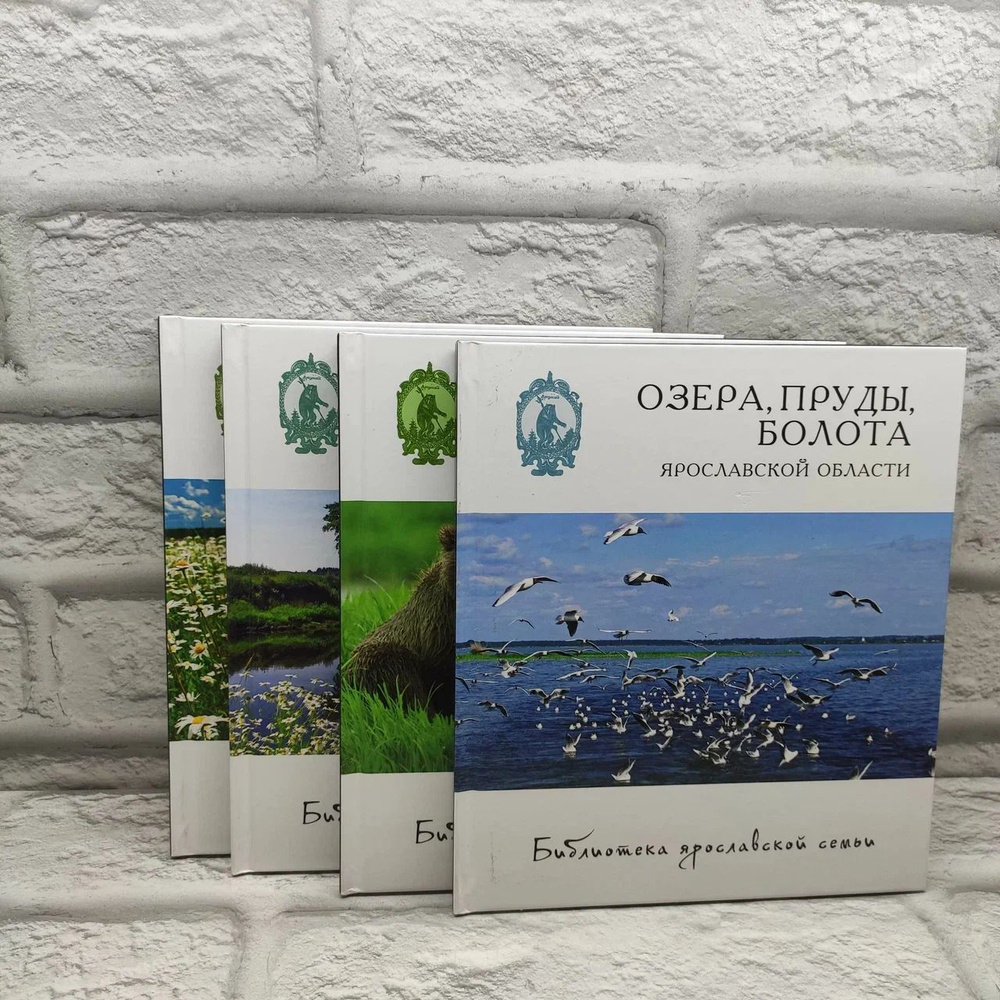 Библиотека ярославской семьи. Третий тематический комплект. (комплект из 4 книг) | Власов Дмитрий  #1